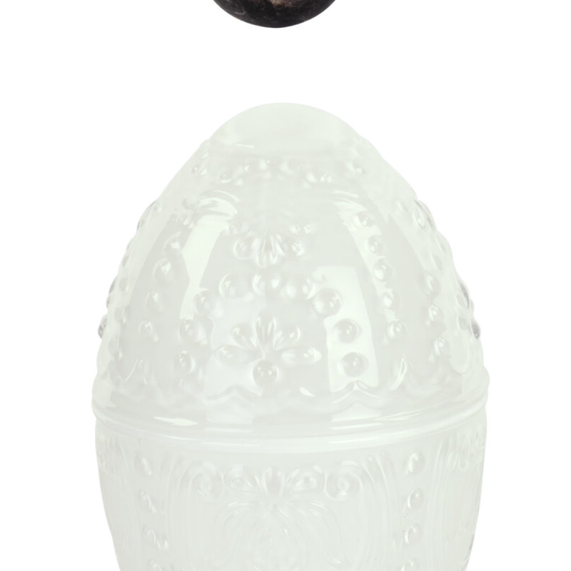 Uovo contenitore bianco